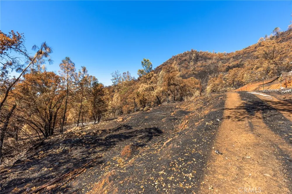 79 Oregon Gulch Road Oroville, CA 95965