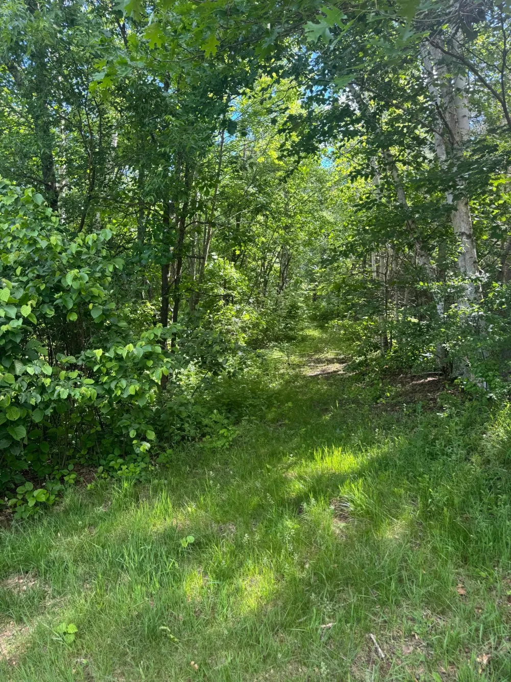 49382 Pansy Landing Road Sandstone, MN 55072
