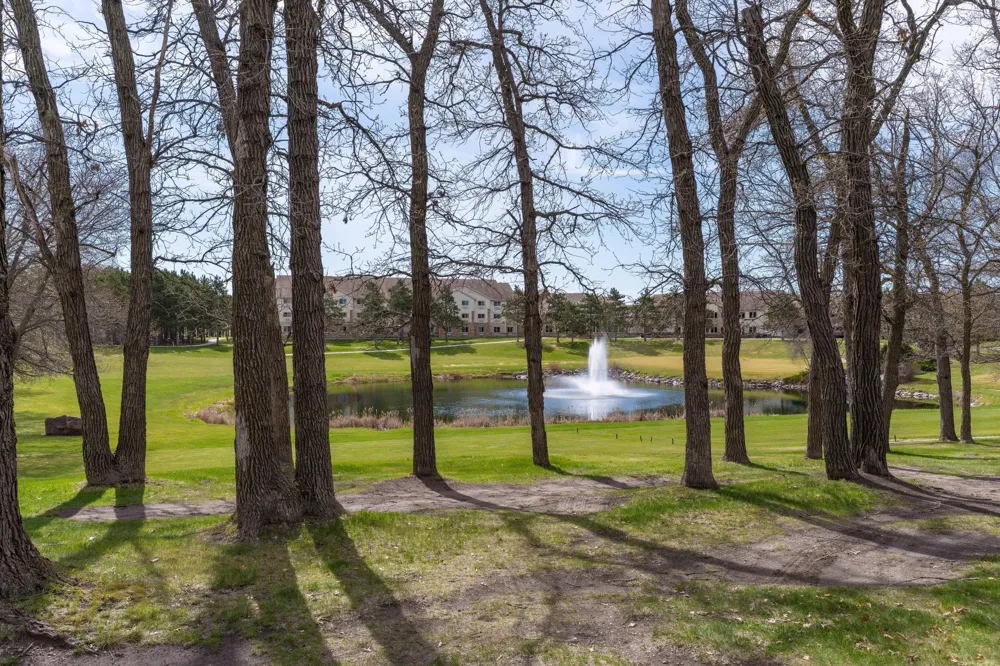 113 Spruce Trail Ottertail, MN 56571