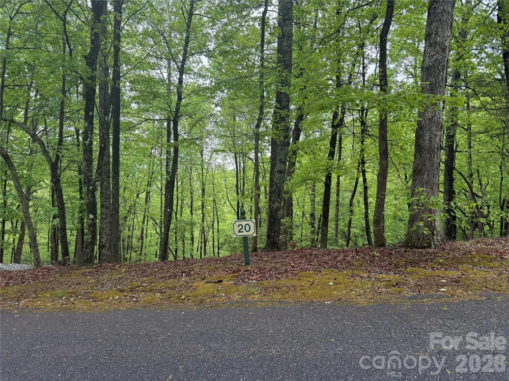 39 Black Bear Ridge Trail #20 Zirconia, NC 28790