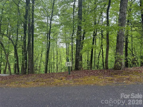 39 Black Bear Ridge Trail #20