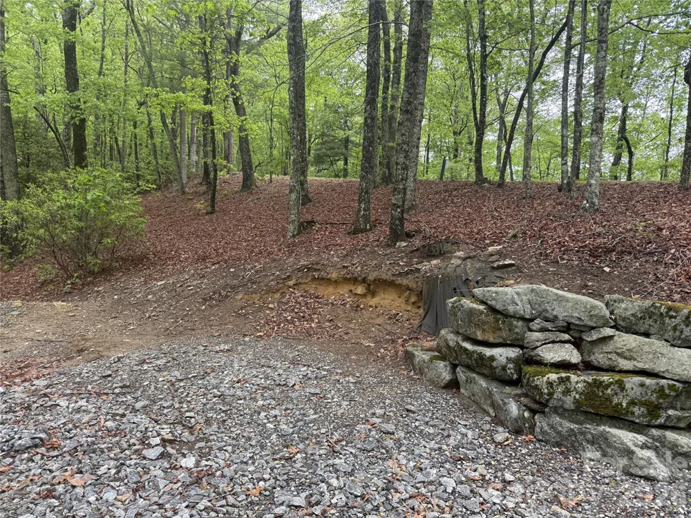 39 Black Bear Ridge Trail #20 Zirconia, NC 28790
