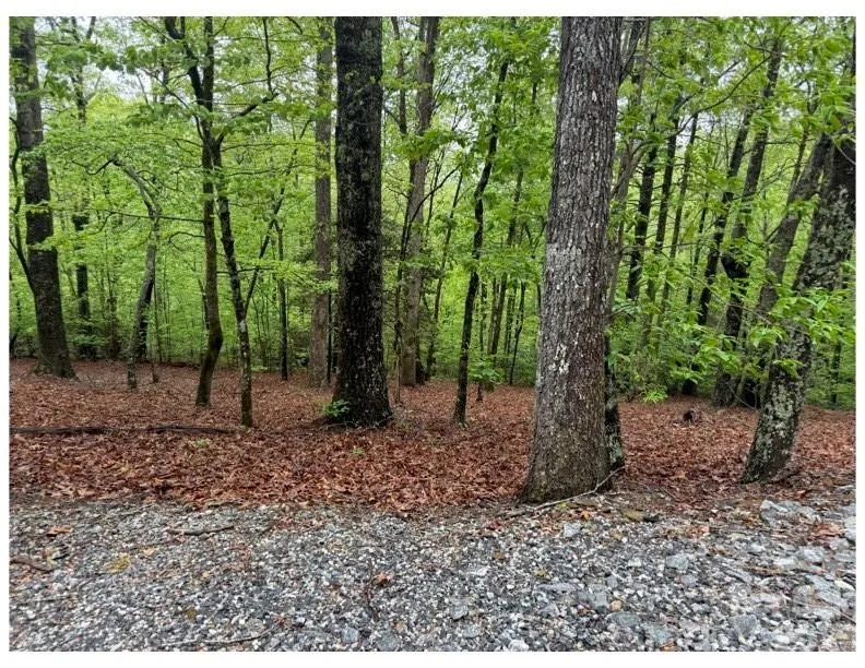 39 Black Bear Ridge Trail #20 Zirconia, NC 28790
