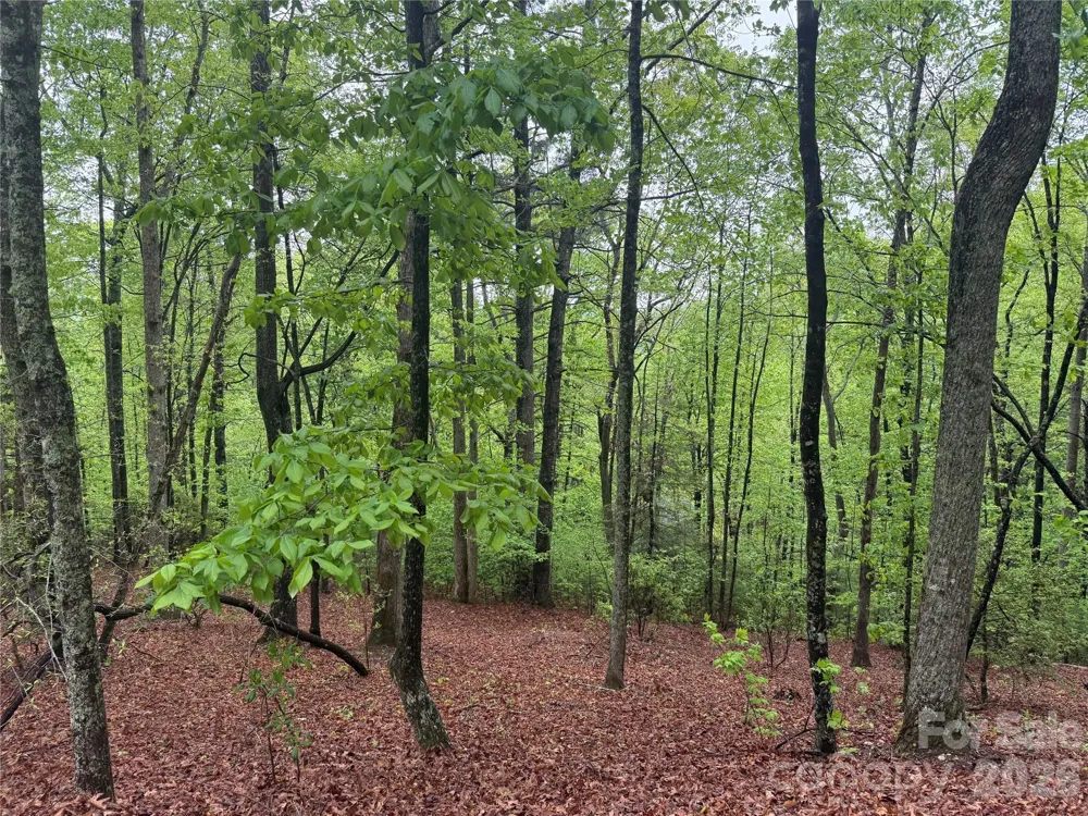 39 Black Bear Ridge Trail #20 Zirconia, NC 28790