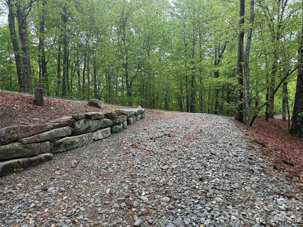 39 Black Bear Ridge Trail #20 Zirconia, NC 28790