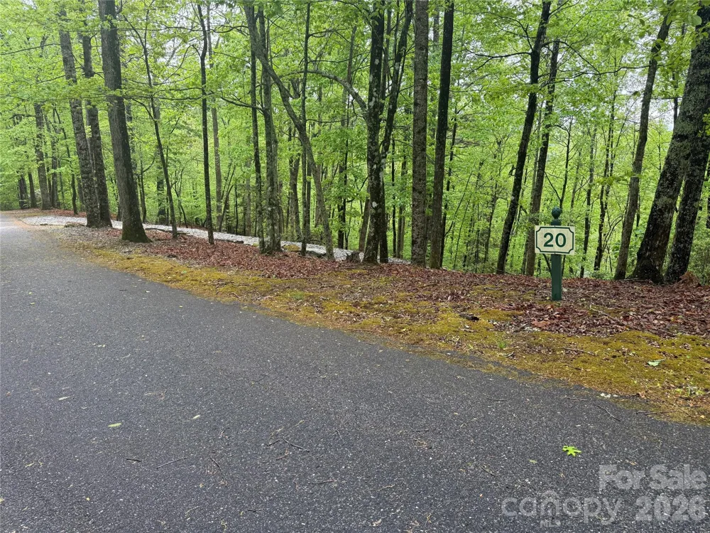 39 Black Bear Ridge Trail #20 Zirconia, NC 28790