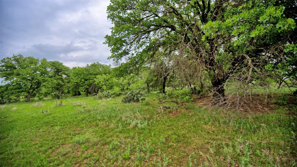Watson Henrietta, TX 76365
