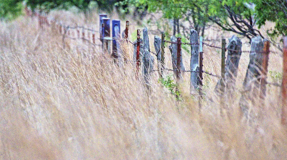 Watson Henrietta, TX 76365