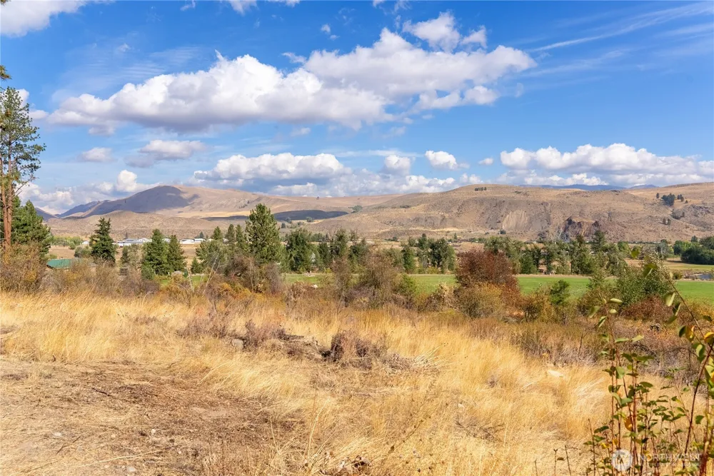 803 C Twisp Carlton Road Twisp, WA 98856