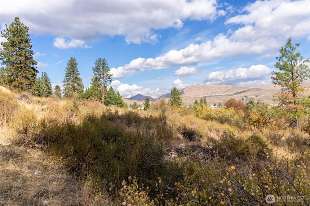 803 C Twisp Carlton Road Twisp, WA 98856