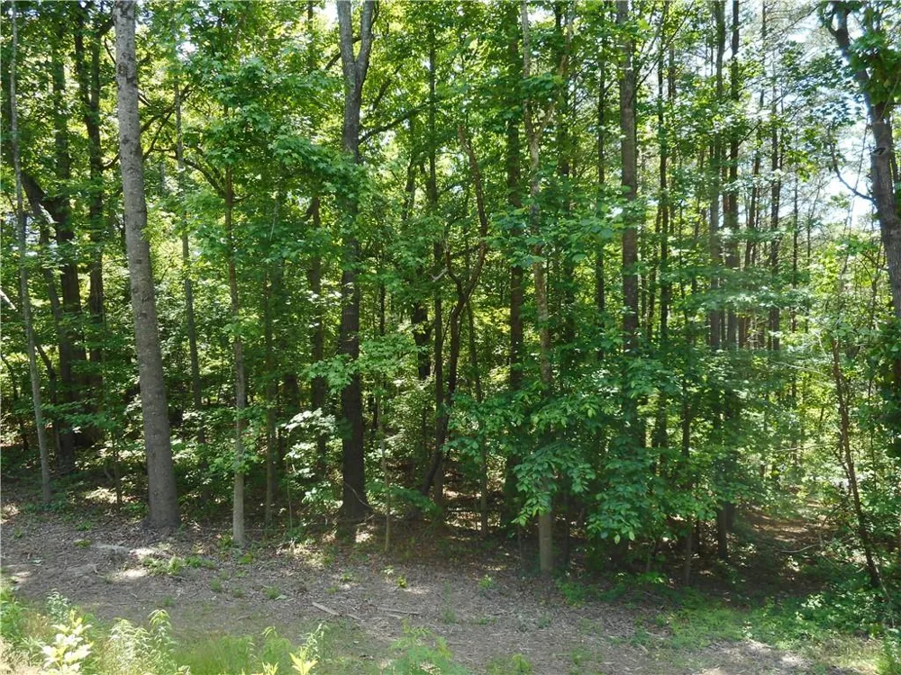 0 Holly Street Canton, GA 30115