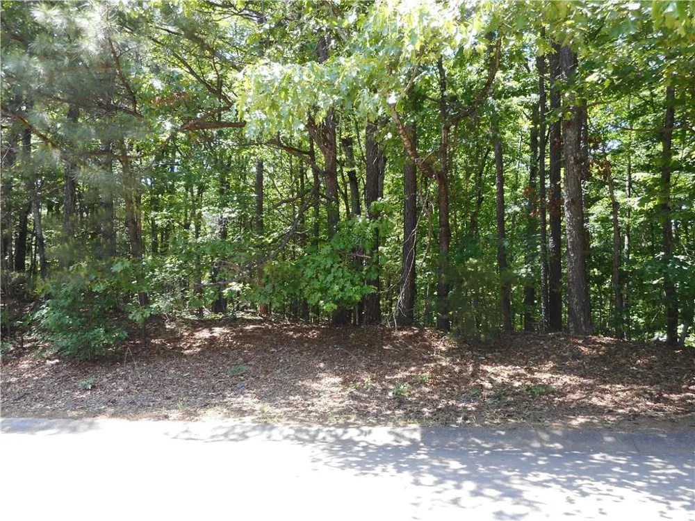 0 Holly Street Canton, GA 30115
