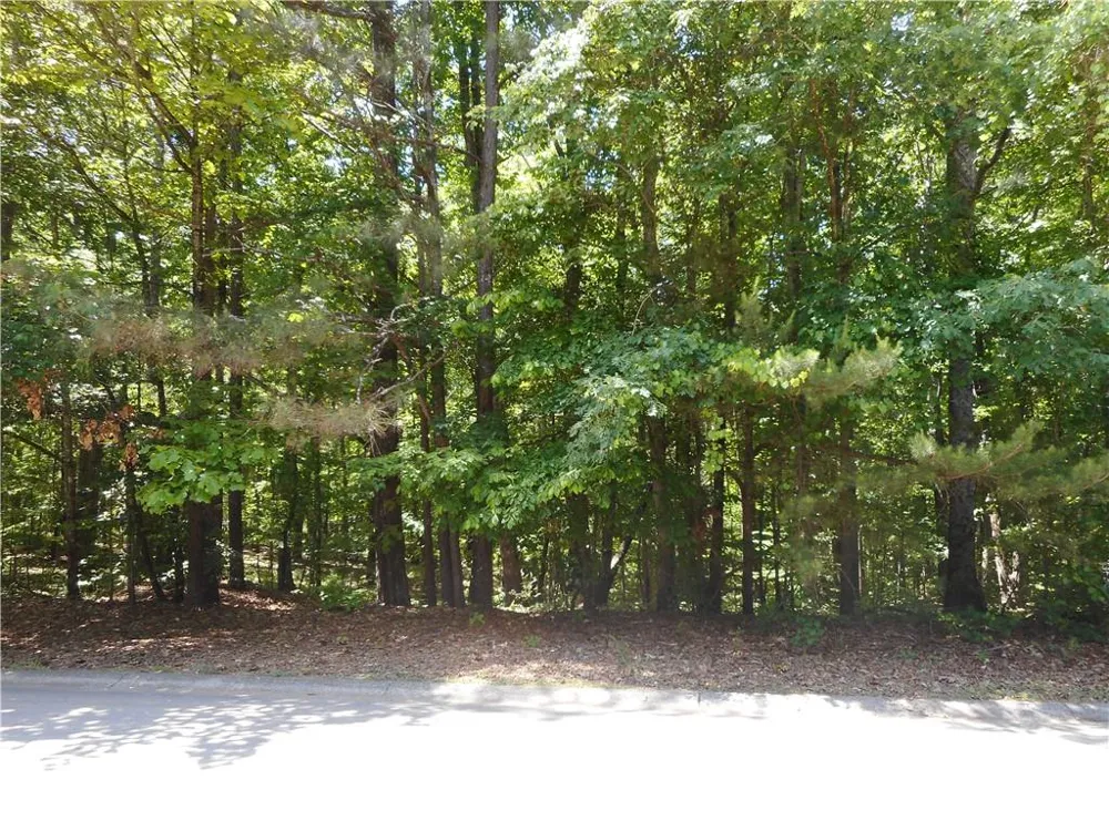 0 Holly Street Canton, GA 30115