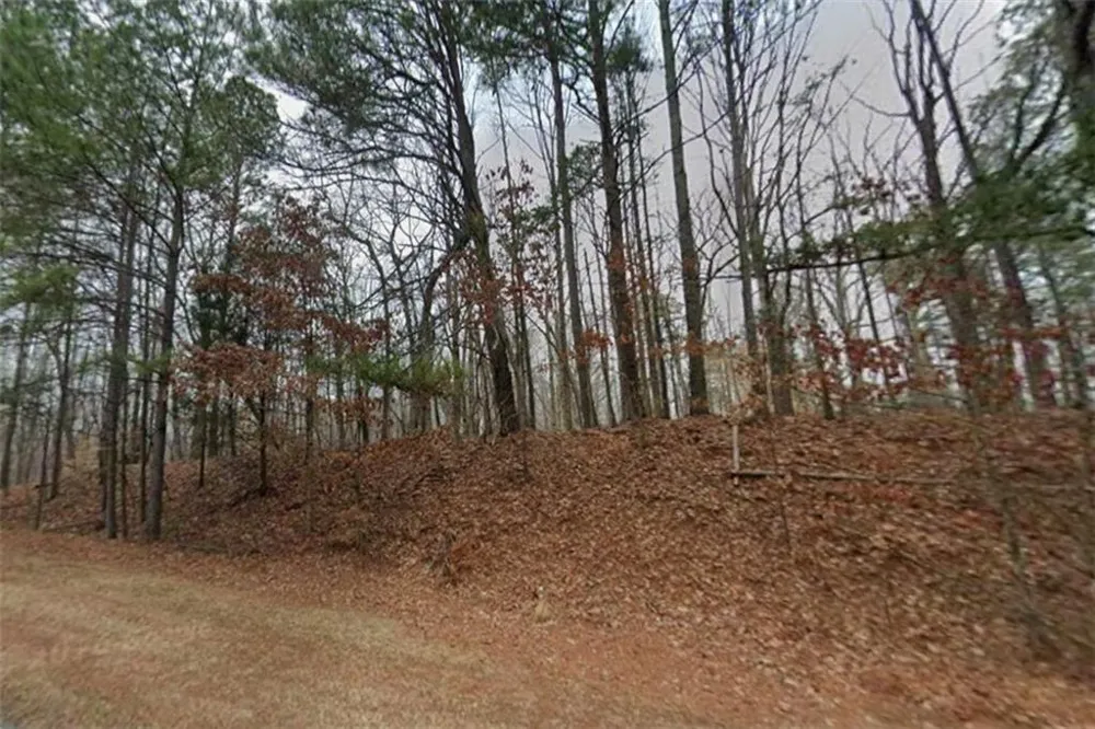0 Holly Street Canton, GA 30115