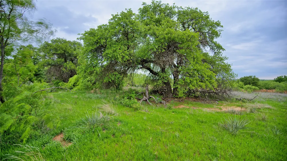 3377 Lodge Creek Road Henrietta, TX 76365