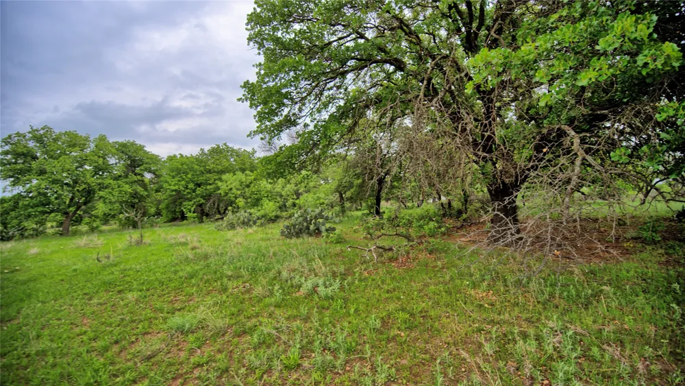 3377 Lodge Creek Road Henrietta, TX 76365