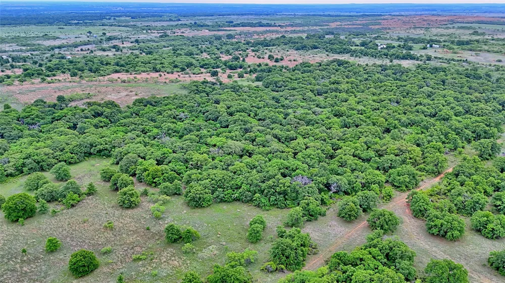 3377 Lodge Creek Road Henrietta, TX 76365
