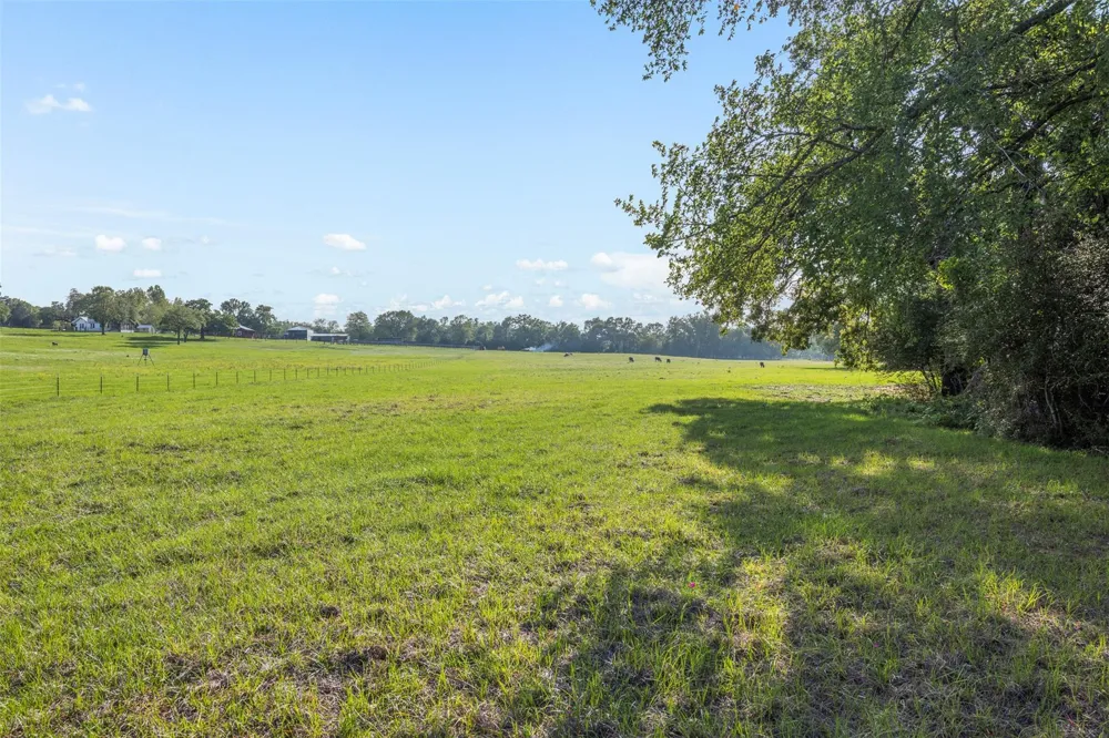 3004 County Road 310 Caldwell, TX 77836