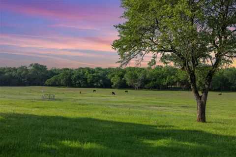 3004 County Road 310