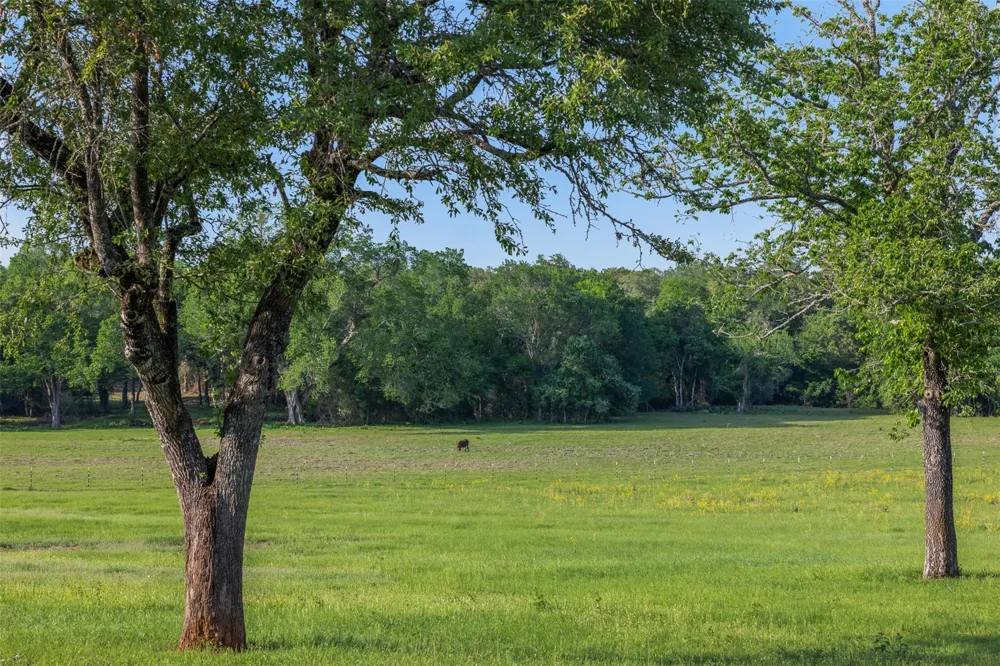 3004 County Road 310 Caldwell, TX 77836