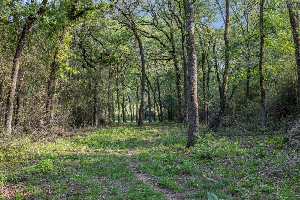 3004 County Road 310 Caldwell, TX 77836