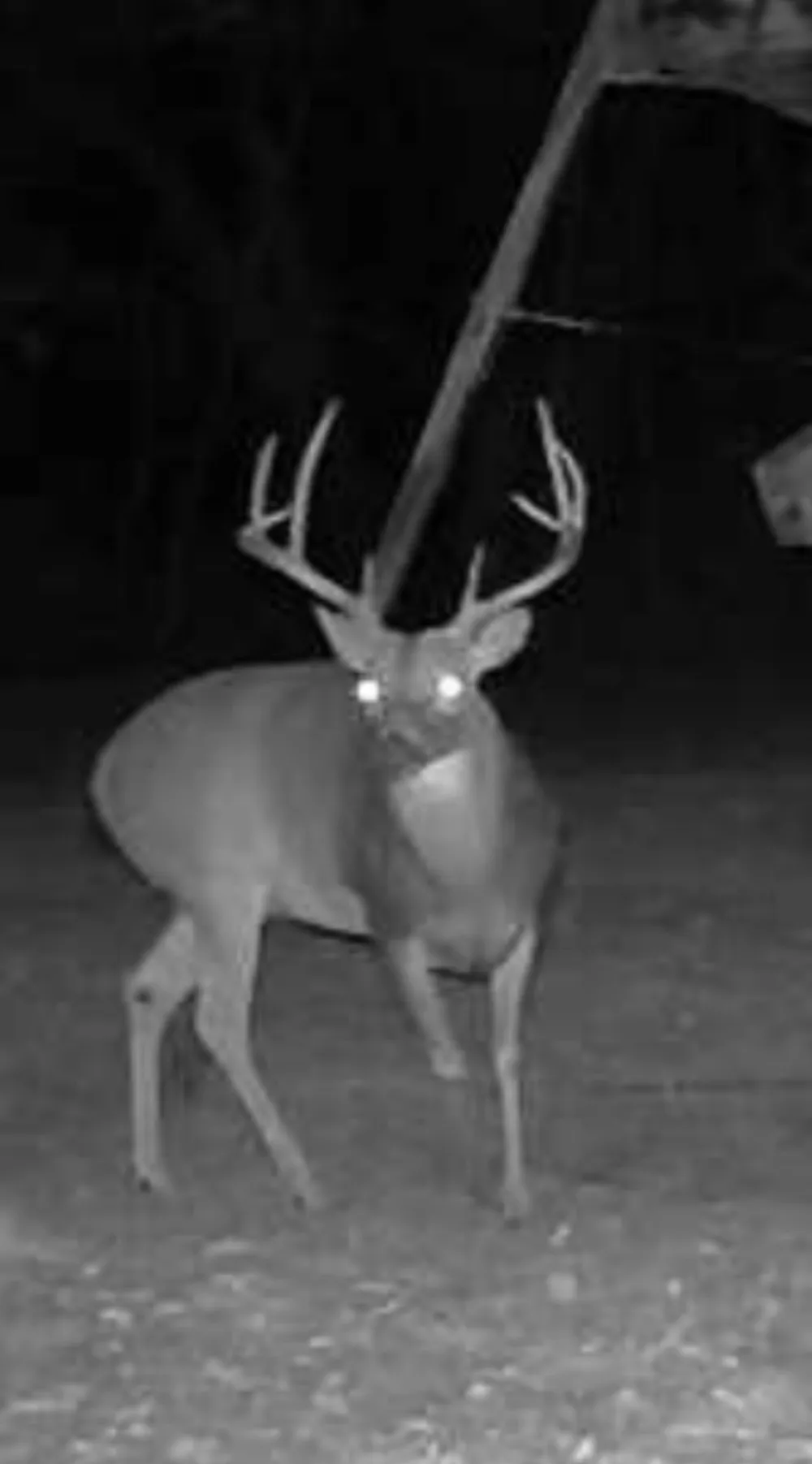 3004 County Road 310 Caldwell, TX 77836