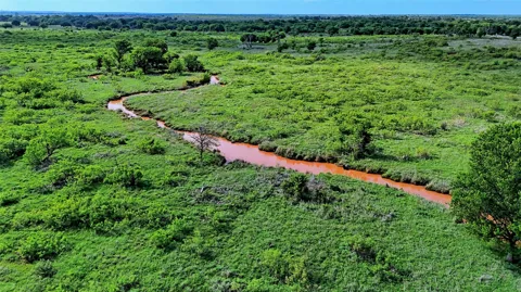 Longview Lane