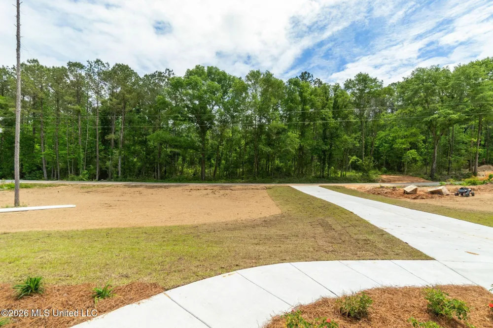 61 Noel Townsend Road Seminary, MS 39479