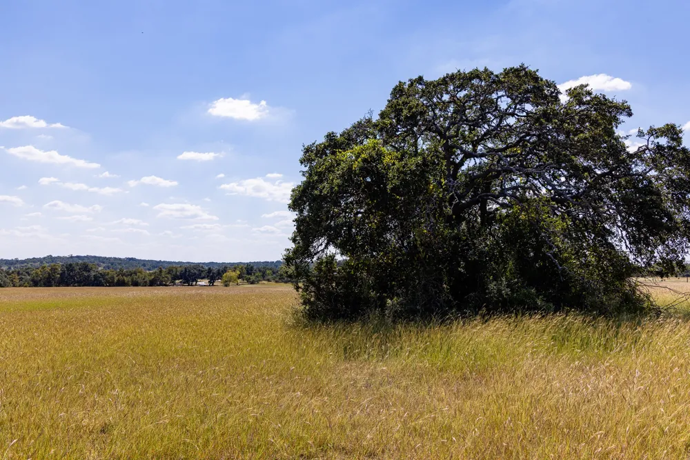 3551 RM 2325 Wimberley, TX 78676