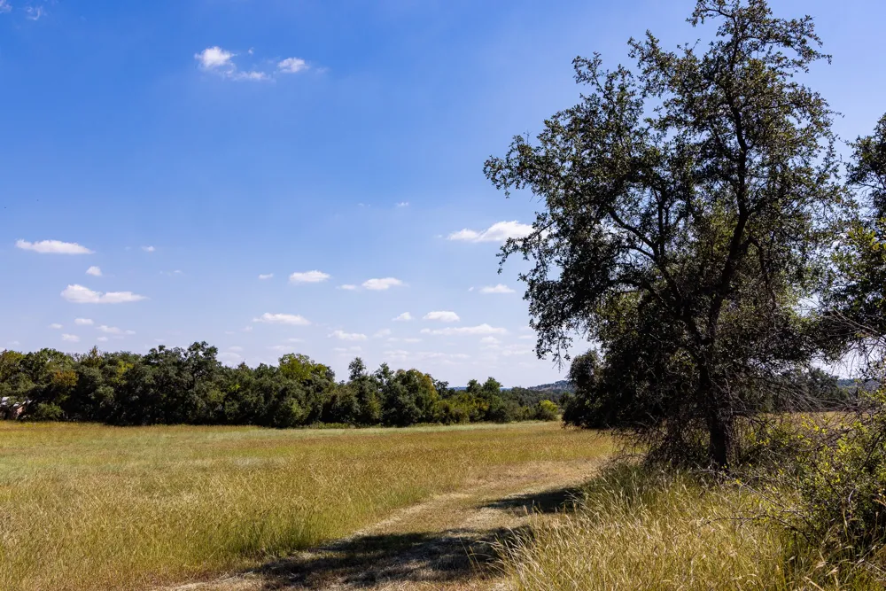 3551 RM 2325 Wimberley, TX 78676