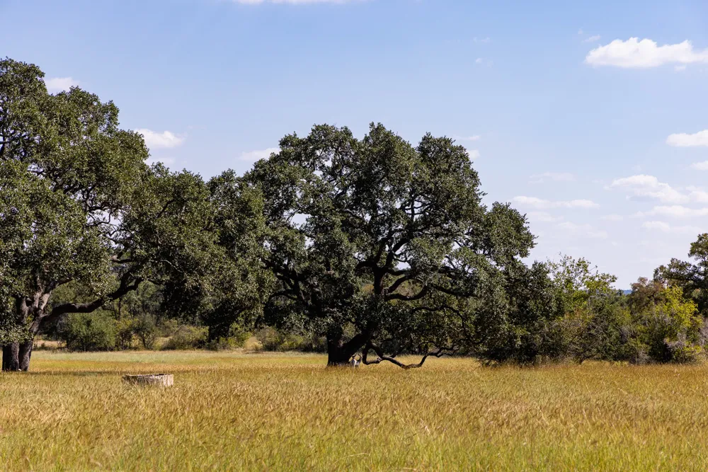3551 RM 2325 Wimberley, TX 78676