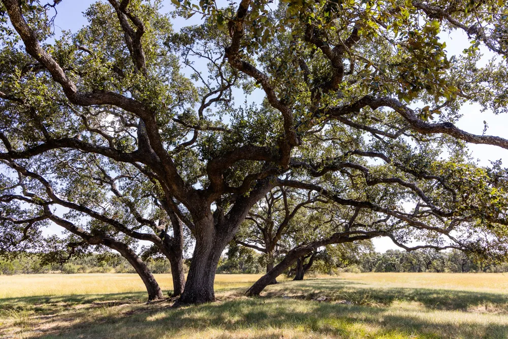 3551 RM 2325 Wimberley, TX 78676