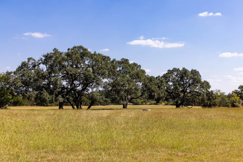 3551 RM 2325 Wimberley, TX 78676