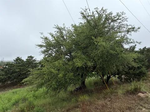 17408 Lake Wood Circle