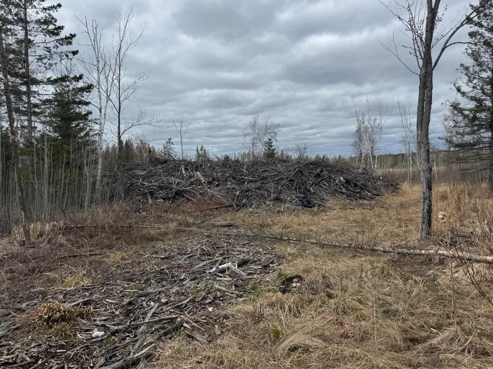 TBD40 Township Road 5743 Road Alborn, MN 55702