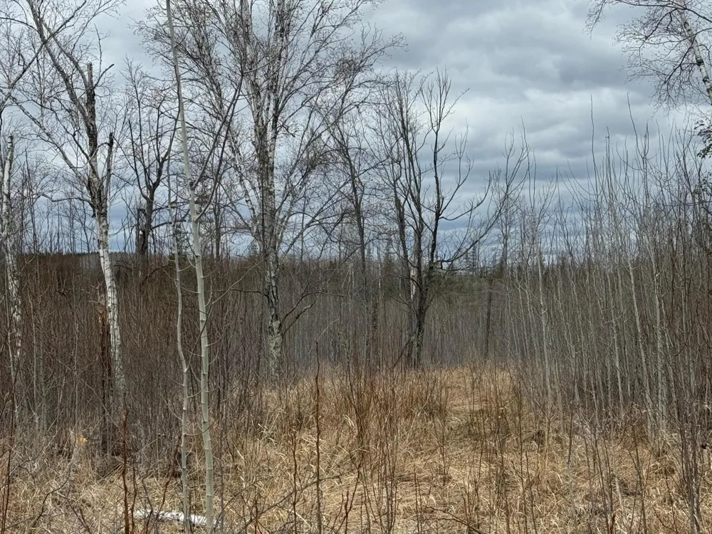 TBD40 Township Road 5743 Road Alborn, MN 55702
