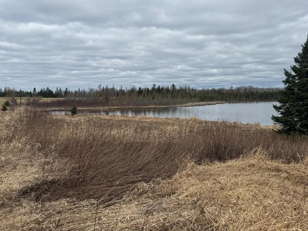 TBD40 Township Road 5743 Road Alborn, MN 55702