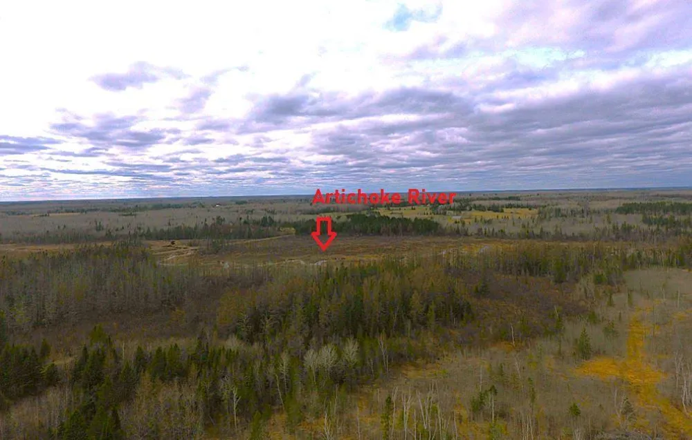 TBD40 Township Road 5743 Road Alborn, MN 55702