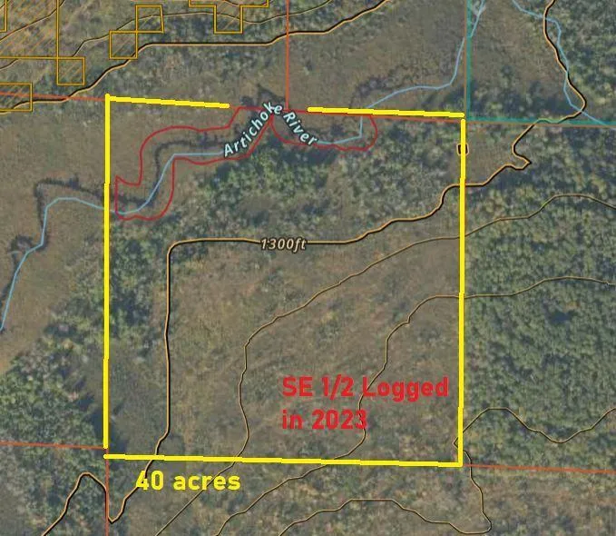 TBD40 Township Road 5743 Road Alborn, MN 55702