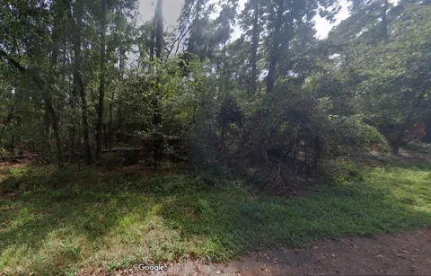 3362 Silverline Drive