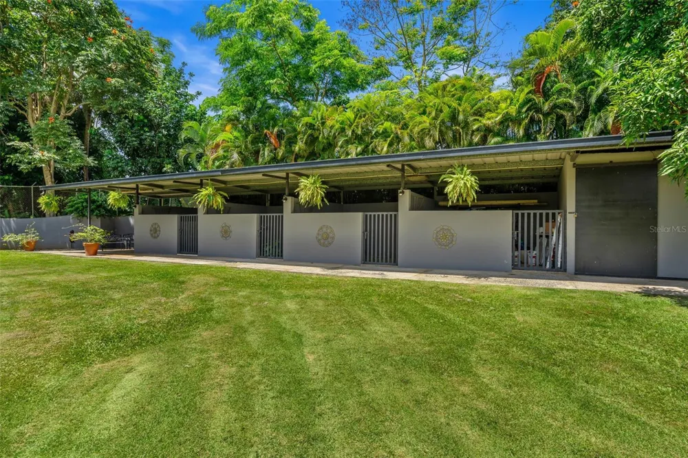 Address Not Shown Juncos, PR 00777