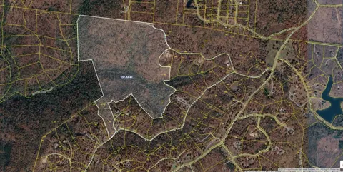 Turkey Trail