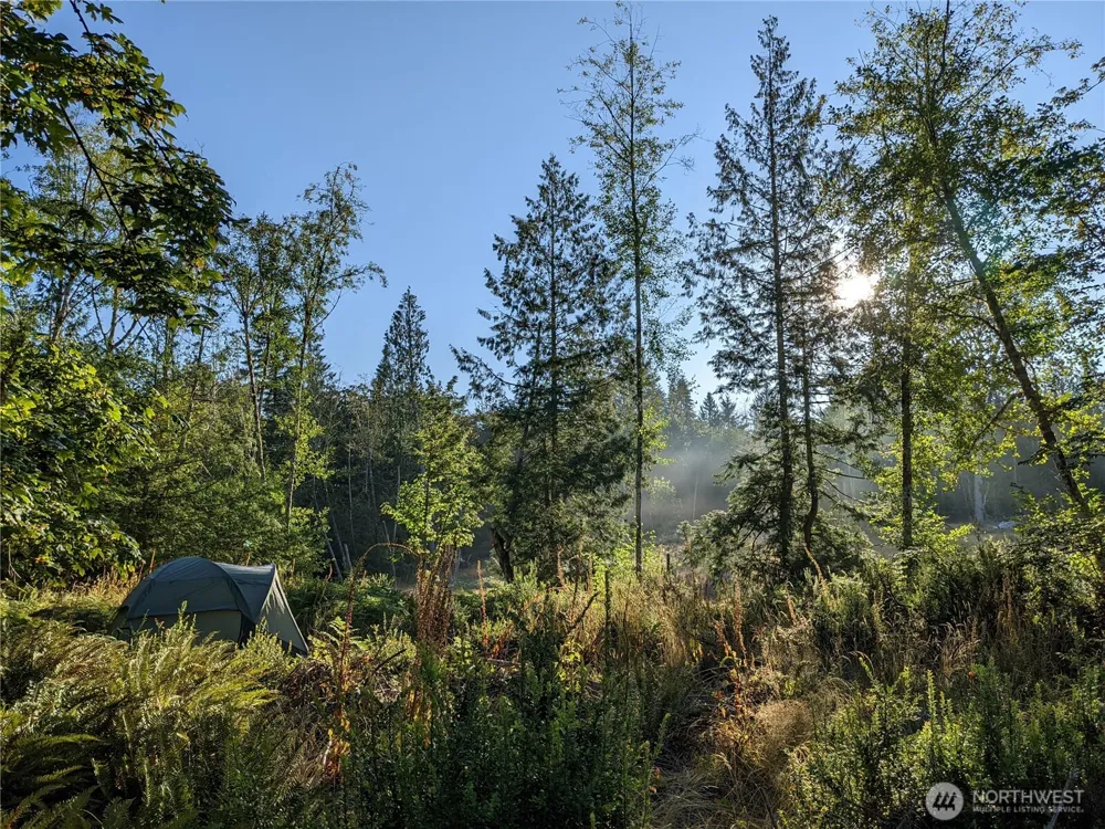 681 E Jared Road Shelton, WA 98584