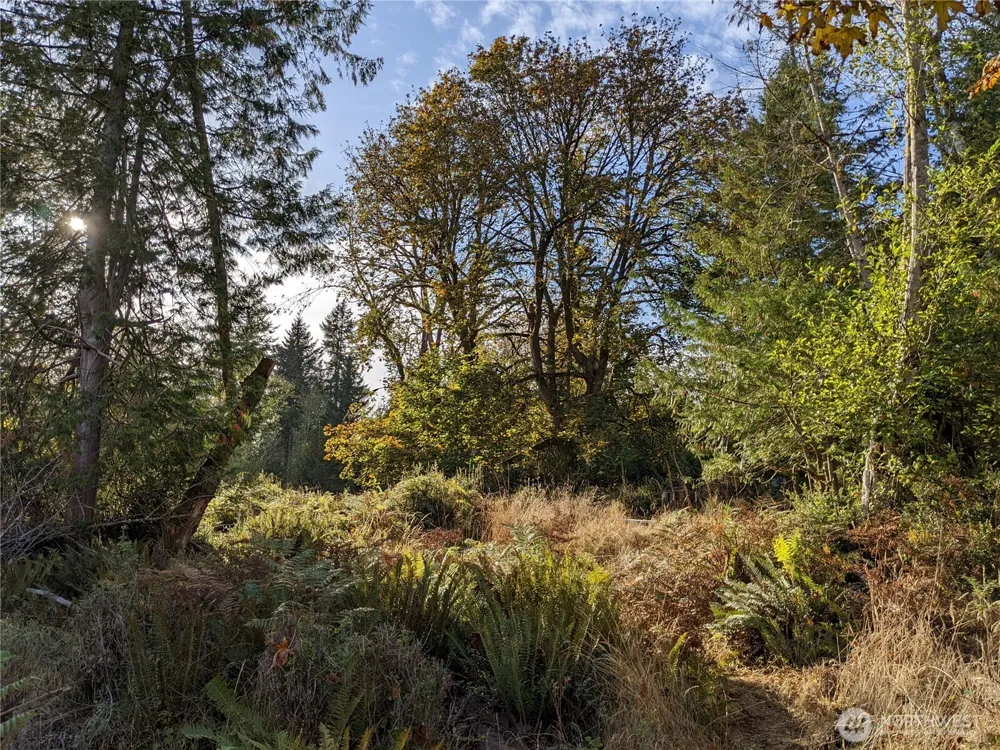 681 E Jared Road Shelton, WA 98584
