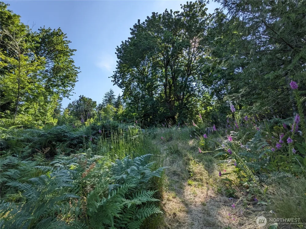 681 E Jared Road Shelton, WA 98584