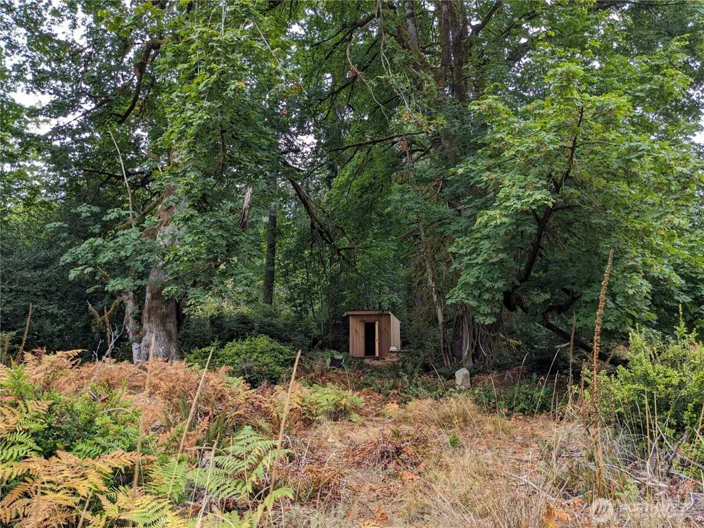 681 E Jared Road Shelton, WA 98584