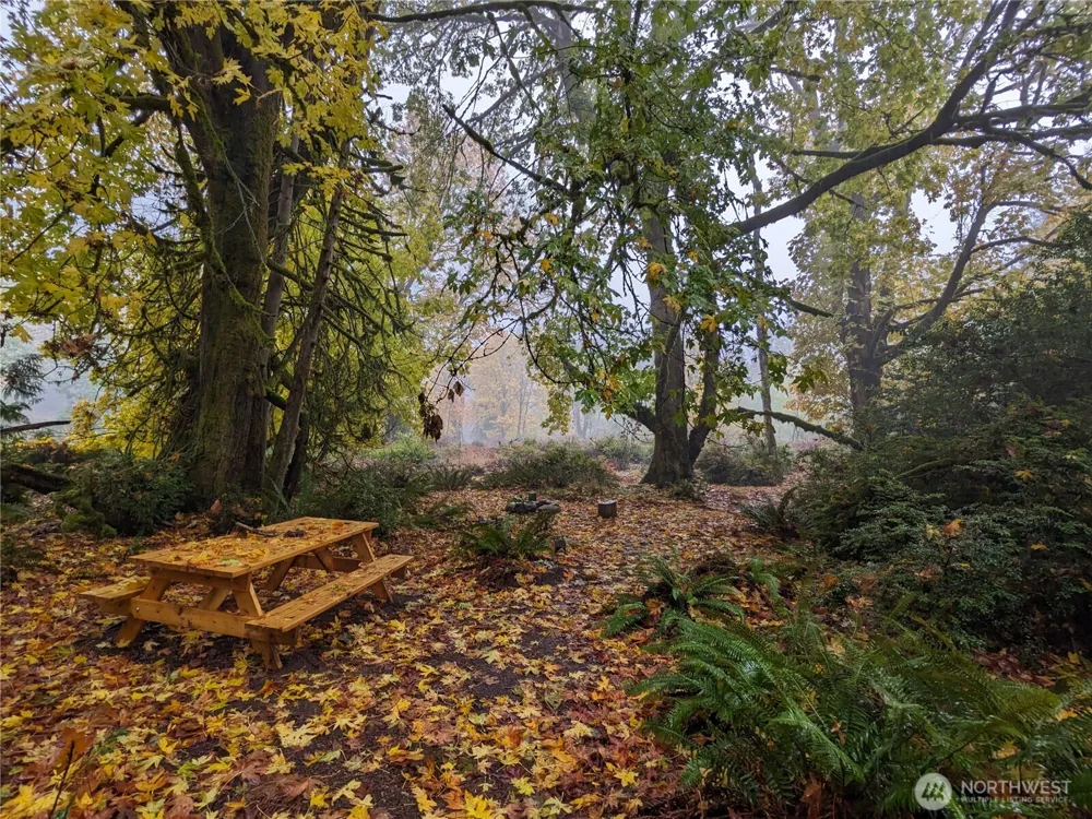 681 E Jared Road Shelton, WA 98584