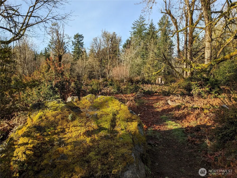 681 E Jared Road Shelton, WA 98584