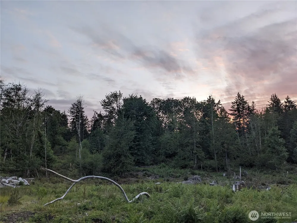 681 E Jared Road Shelton, WA 98584