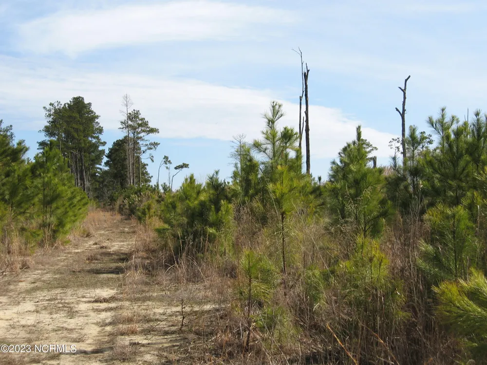4161 Caratoke Highway Barco, NC 27917